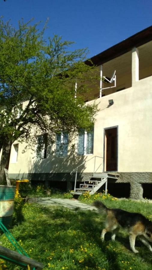 Guest House Katia Mestia Luaran gambar